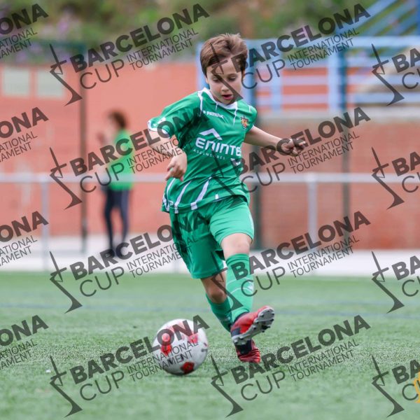 CORNELLA20VS20FPI-5.jpg